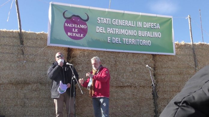 salviamo la bufala