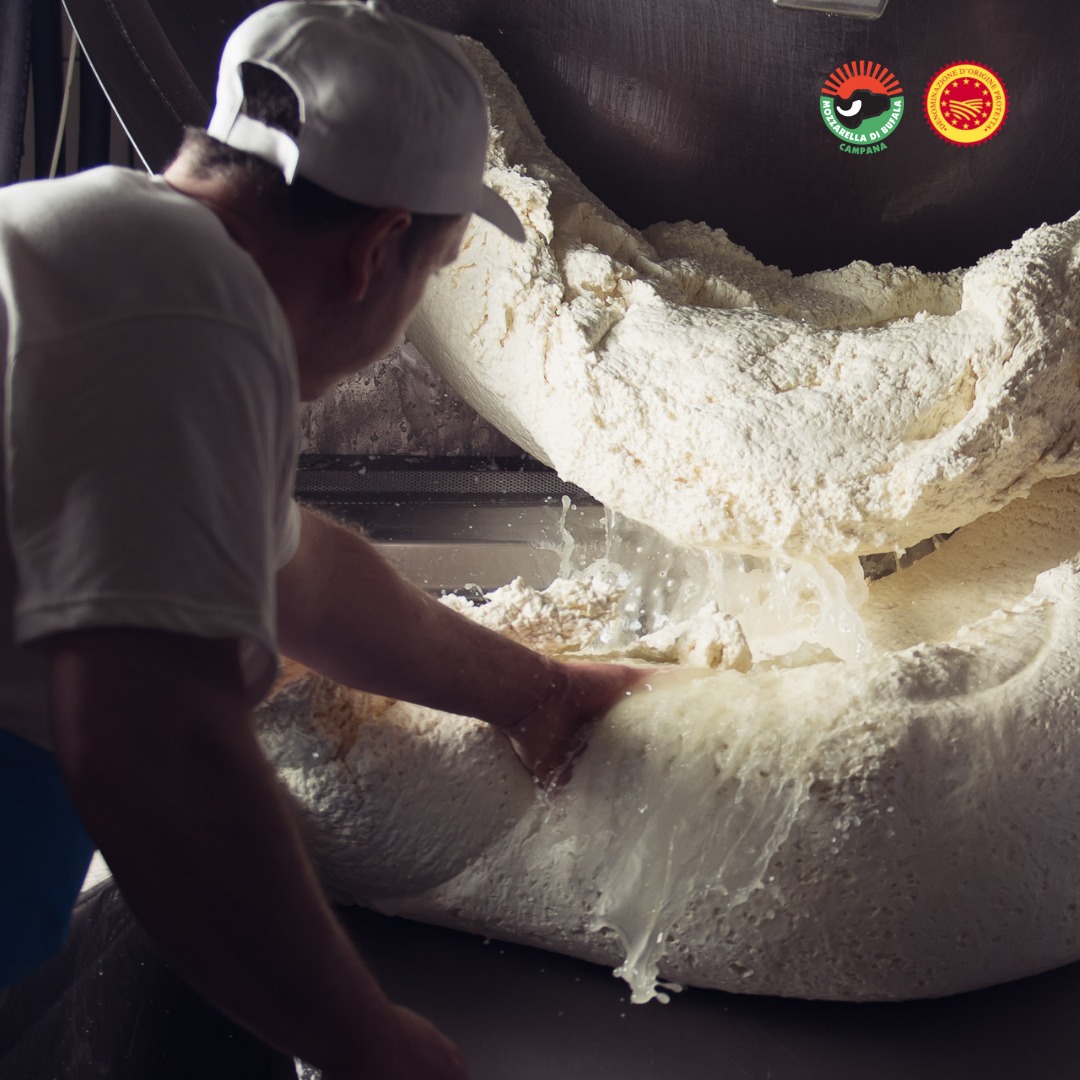 consorzio mozzarella