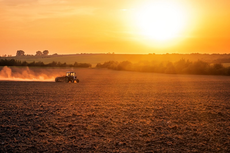 lavoro-campi-trattore-sole